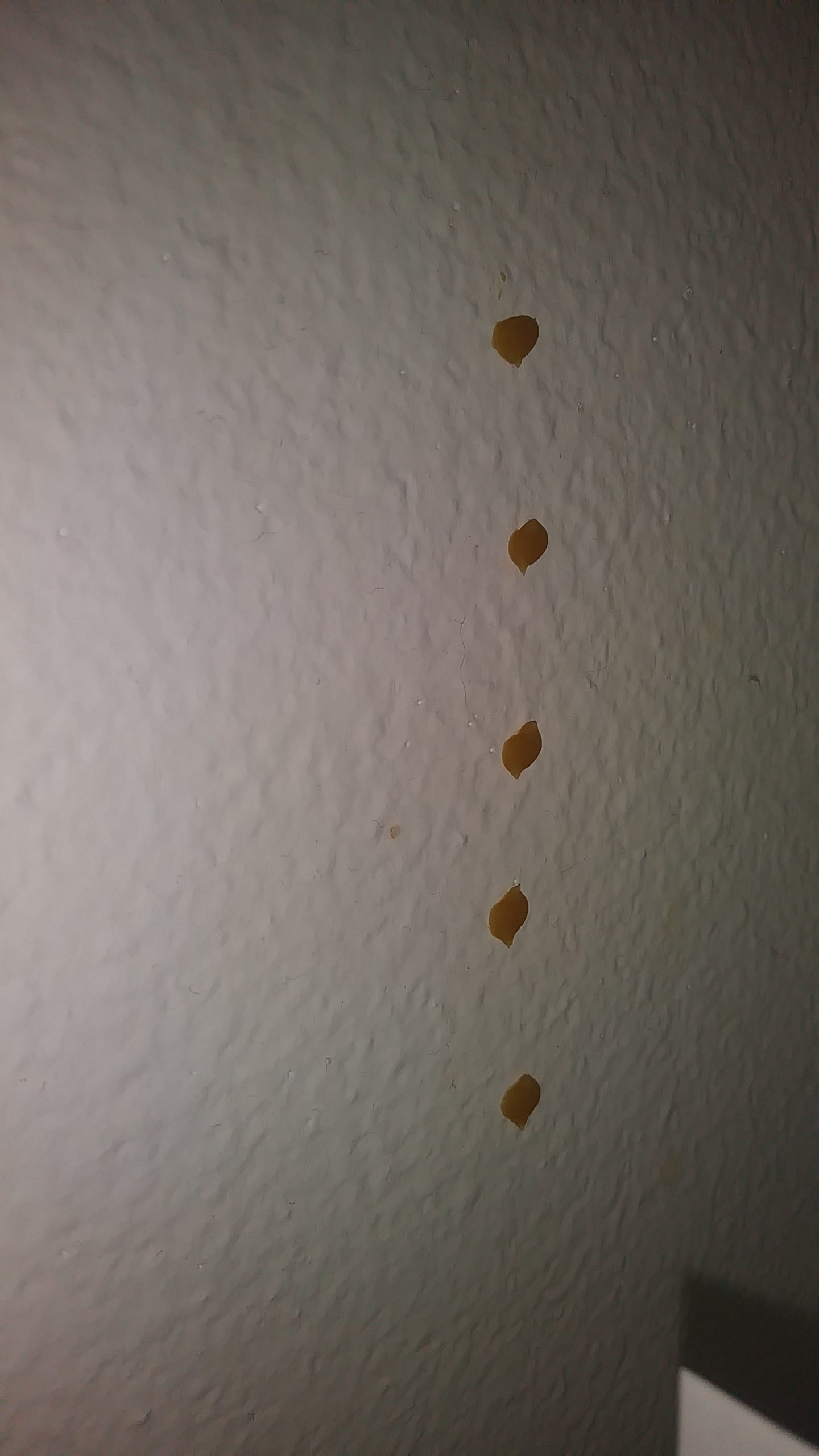 Yellow Sap Like Substance On Inside Walls Redflagdeals Com Forums - Yellow Substance On Bathroom Walls