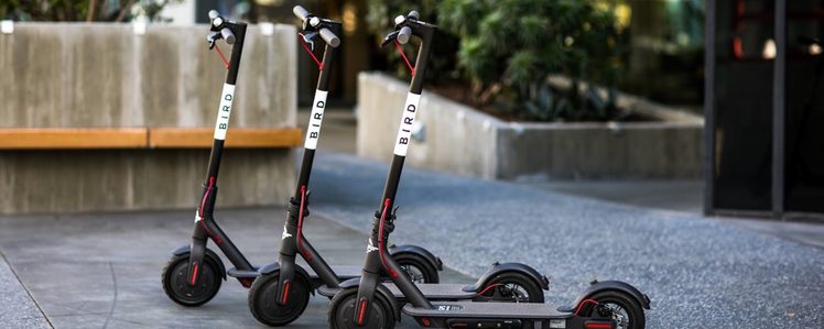 Bird Canada Brings Their Electric Scooters to Toronto