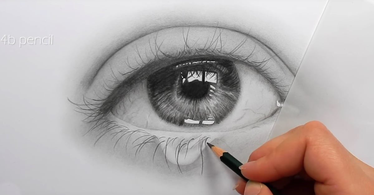 The Ultimate Drawing Course  Beginner to Advanced