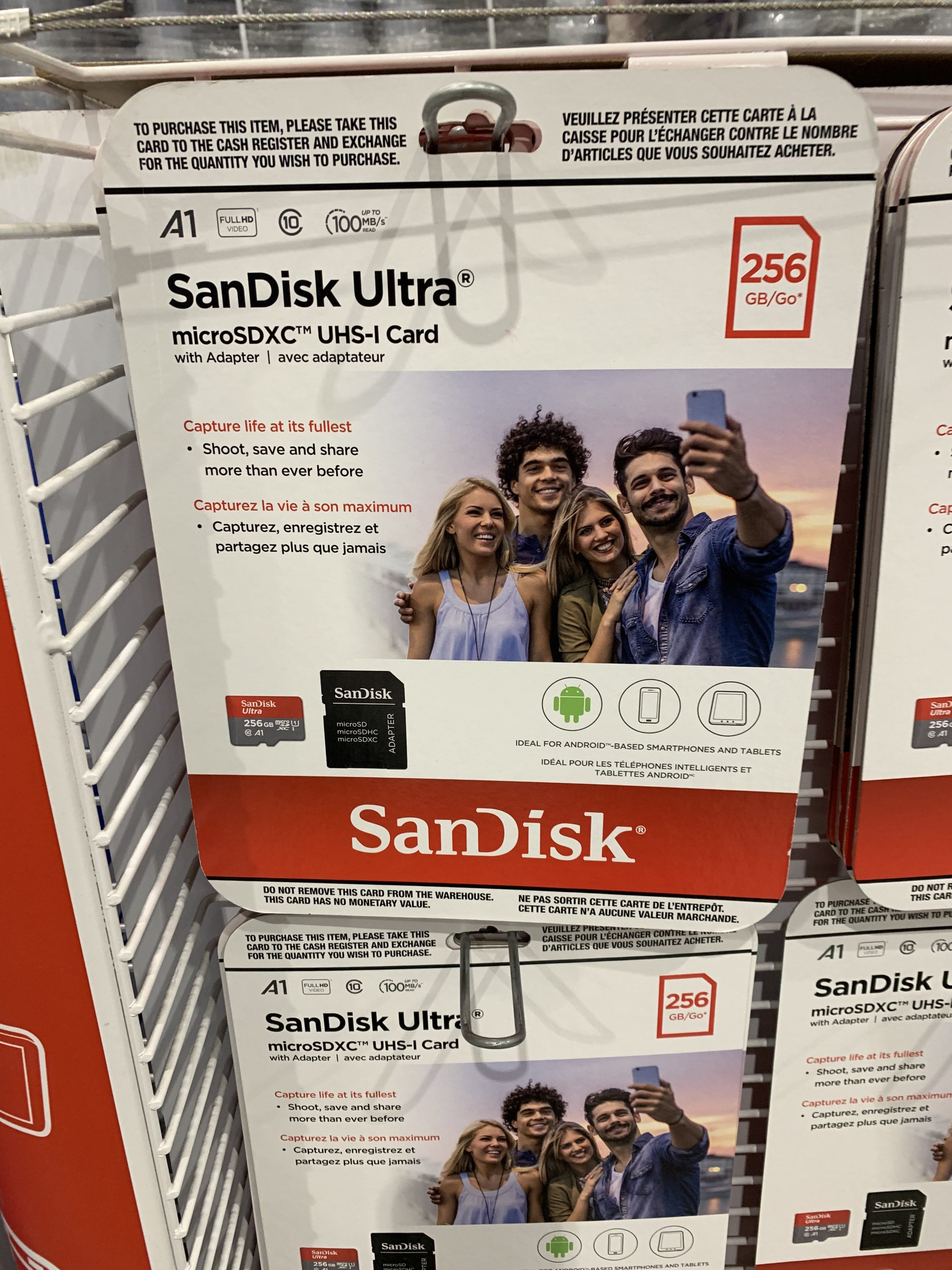 costco sandisk 256gb flash drive