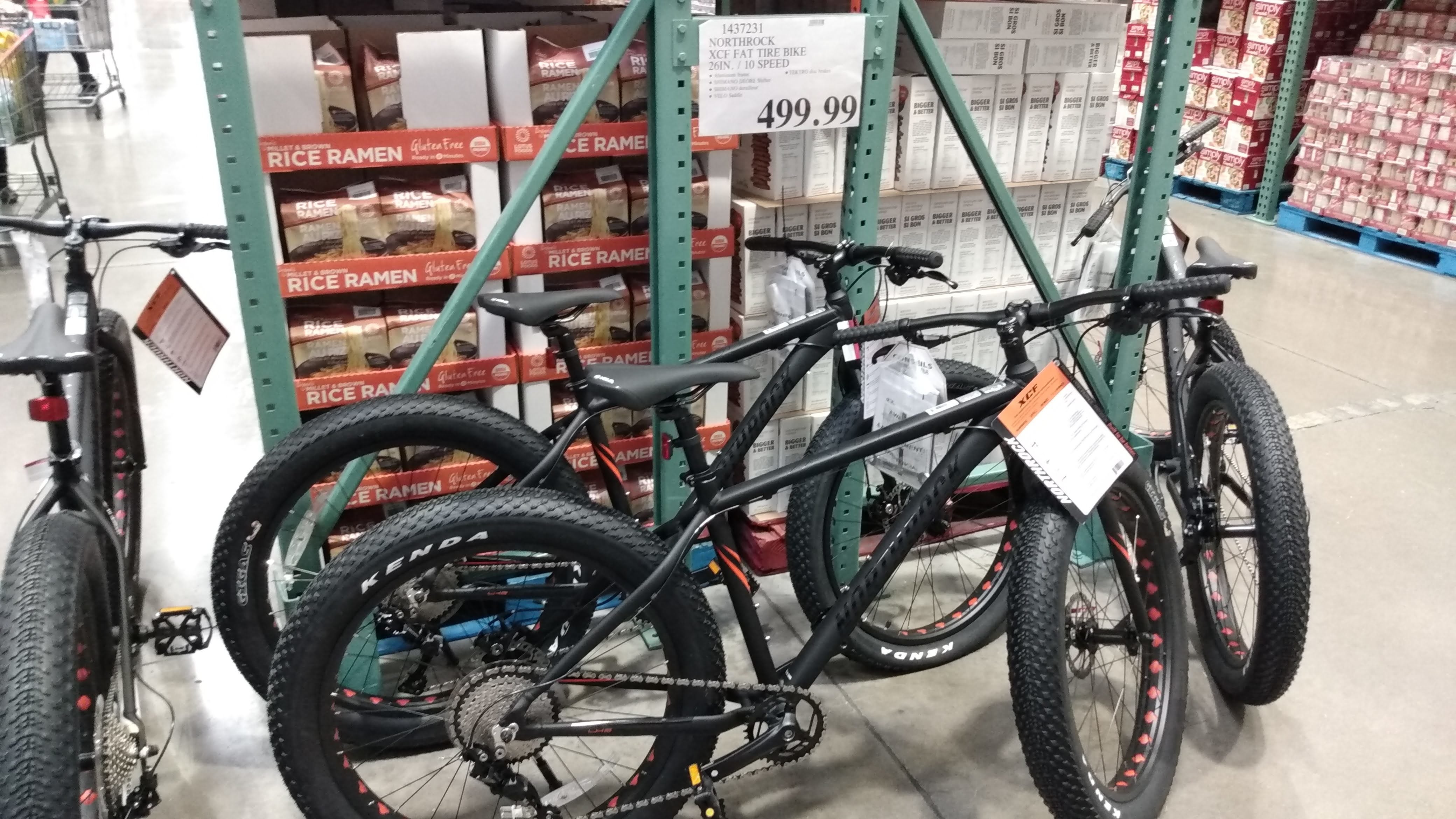 outcross fat tire electric bike costco