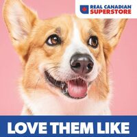 Real Canadian Superstore - Pets Book (BC/AB/SK/YT/Thunder Bay) Flyer