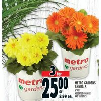 Metro Gardens Annuals