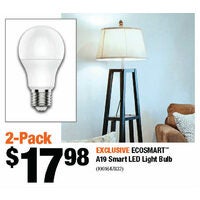 Ecosmart A19 Smart LED Light Bulb
