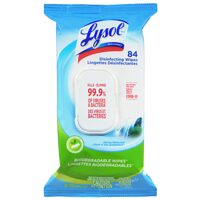 Lysol Flat Pack Wipes Toilet Bowl Power Plus or Disinfectant Spray 
