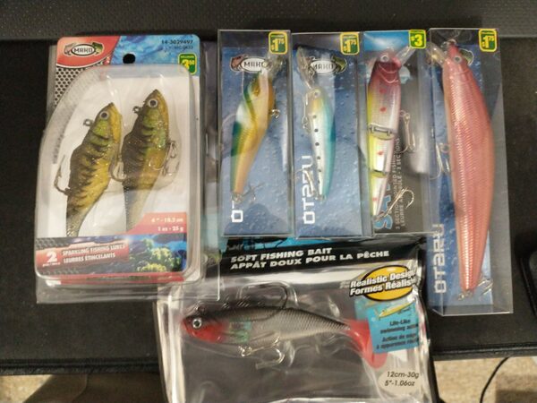 Bought A Massive 8 OZ! Dollarama Swim Bait SUPER D Do These Work?! 