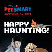 PetSmart - Halloween Look Book - Happy Haunting Flyer