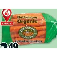 Organic Carrots 