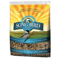 Health Diet Songbird