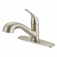 Project Source Dover Pull-Out Kitchen Faucet 