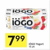 Iogo Yogurt 