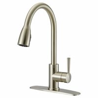 Project Source Industrial Pull-Down Kitchen Faucet