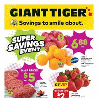 Giant Tiger - Weekly Savings - Super Savings Event (ON) Flyer