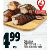 Canadian Lobster Tail
