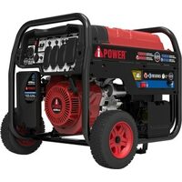 Power Dual-Fuel Generators with Electric Start - 12,000W