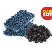 Blackberries or Blueberries 