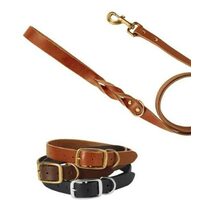Bailey & Bella Leather Collars and Leashes 