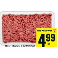 Fresh Medium Ground Beef