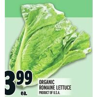 Organic Romaine Lettuce