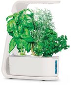 AeroGarden Sprout Garden System For Hydroponics - $19.93