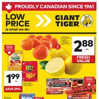 Giant Tiger - Weekly Savings (ON) Flyer