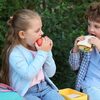 The School-Lunch Price Drop: Illusion or Opportunity for Canadian Families?