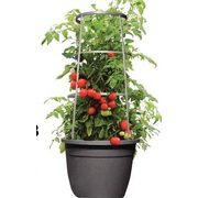 Burpee Veggie Planter  - $17.98