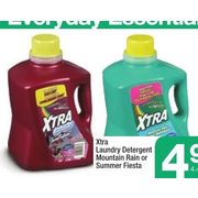 Xtra Laundry Detergent Mountain Rain or Summer Fiesta - $4.99