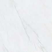 24" x 24" Carrara Vera Polished And Rectified Porcelain Tile - $1.99/sq.ft