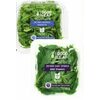 Good Leaf Baby Spinach Spring Mix or Baby Argula  - $5.99
