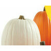 Large Craft Pumpkins By Ashland - $14.99 (50% off)