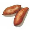 Fresh Sweet Potatoes - $1.99/lb