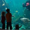 Vancouver Inspiration Pass - "Borrow" Free Entry to Local Attractions With Your Library Card (GVRD)